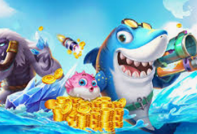 娱乐星空下载app2024最新版